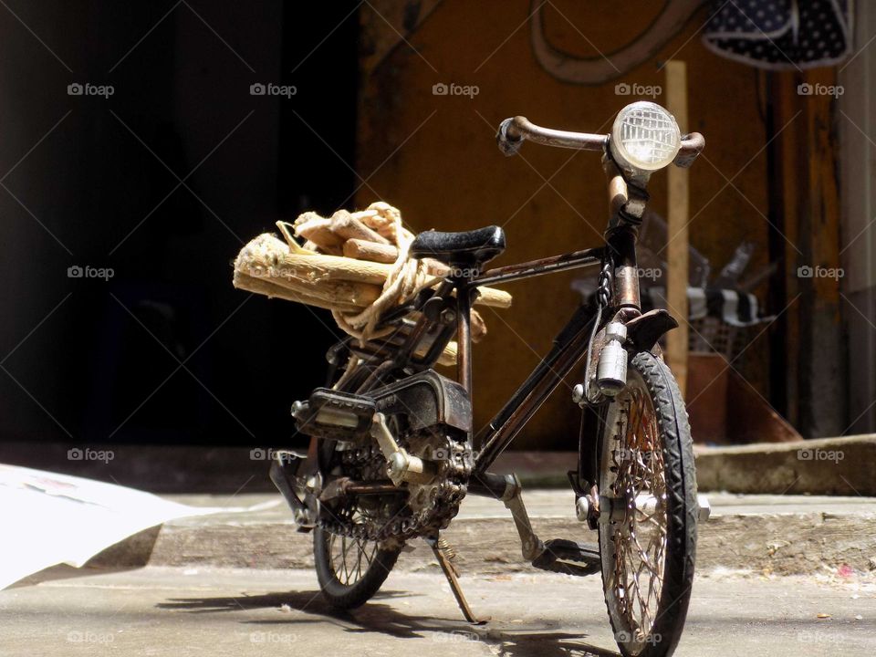 Looking for firewood