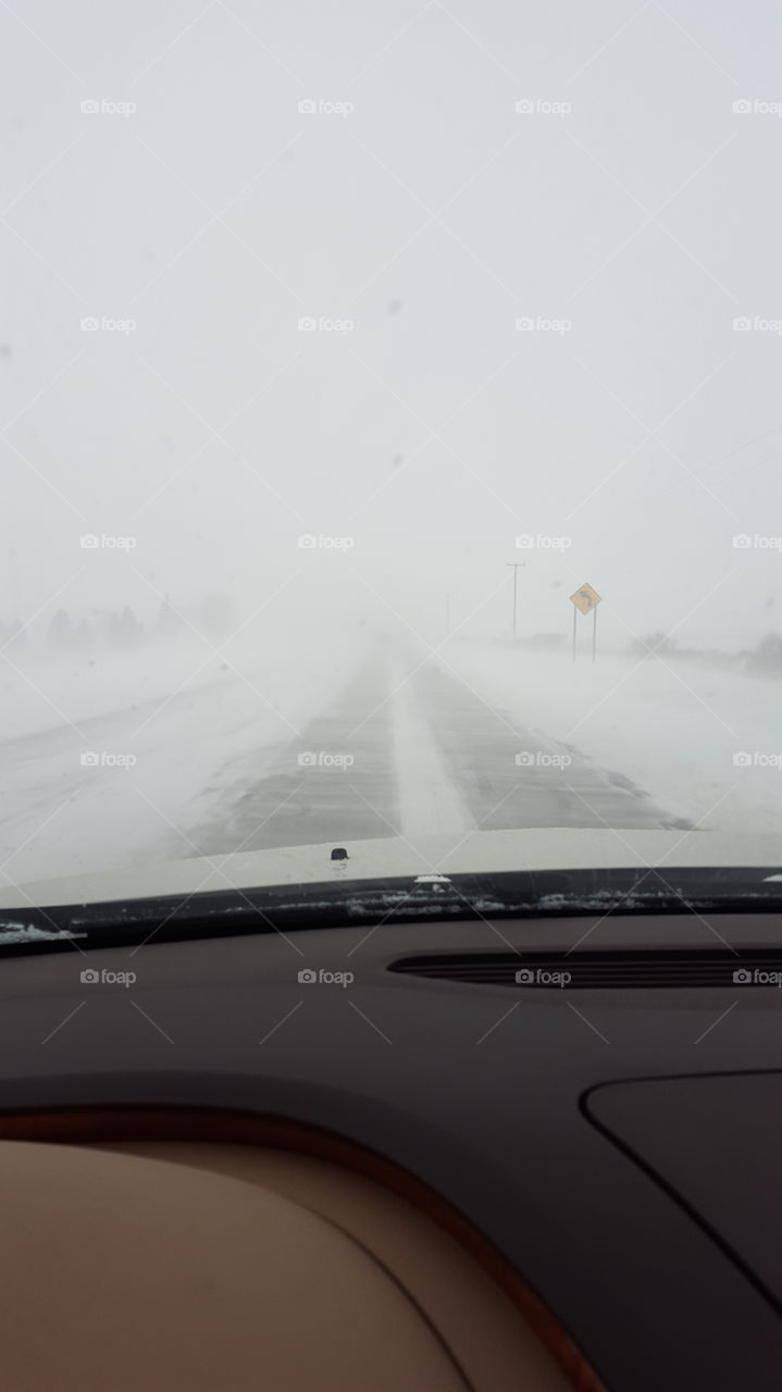 snowy day in Michigan