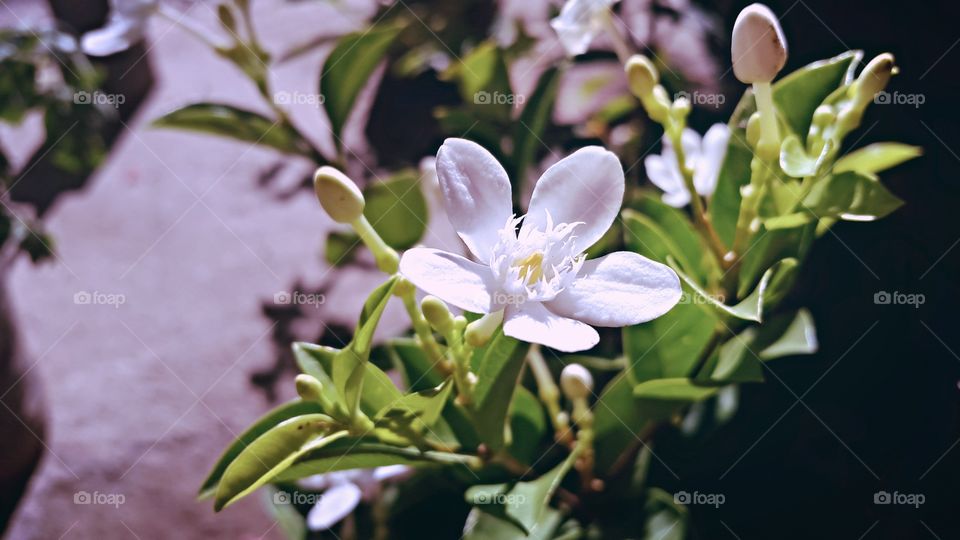 Pic from my heaven🏡