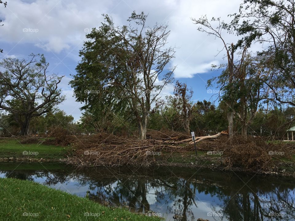 After Irma