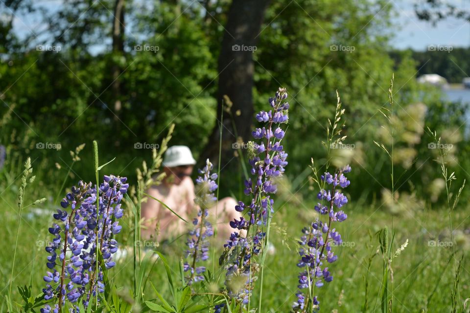 view from the ground person resting on a grass, summer nature