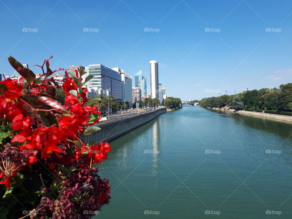 Beautiful cityscape with river and red flowers