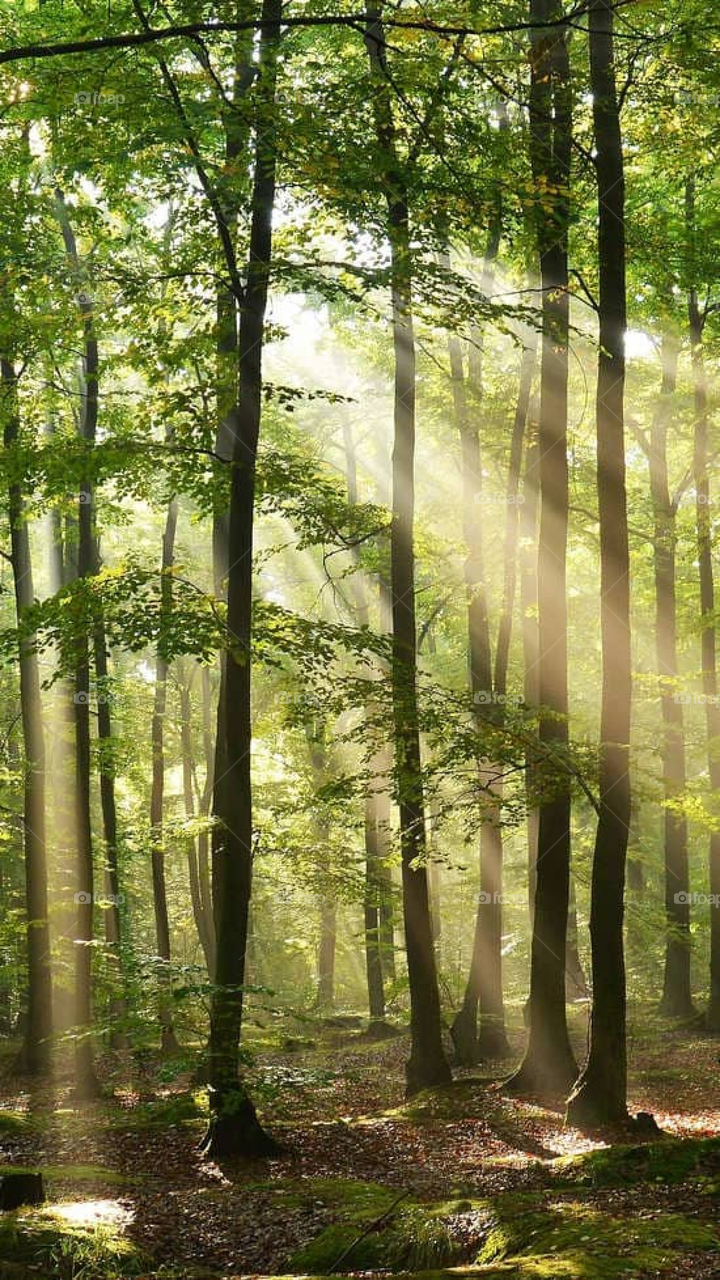 Naturel beauty place