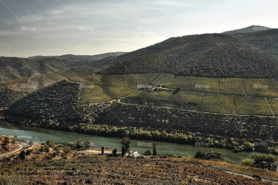 Douro Vinhateiro