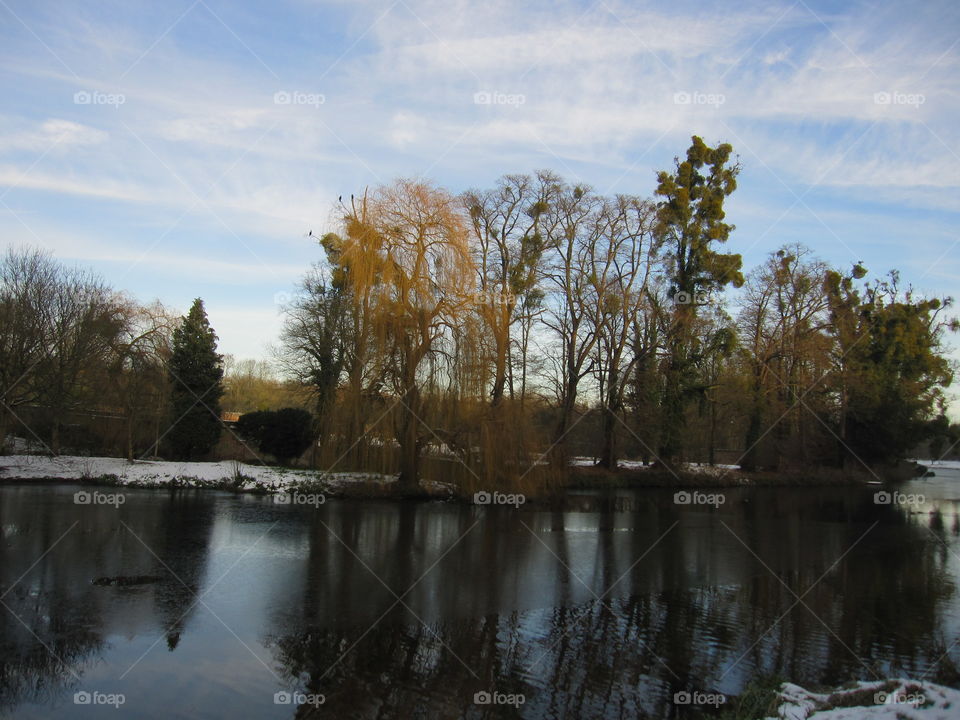 A Cold Lake