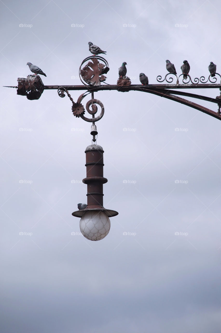 lamp metal rustic pigeons by iconic1