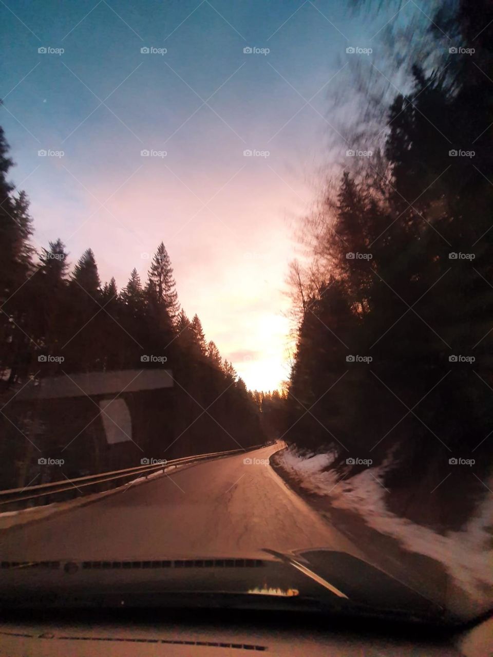 Sunset on the forest road