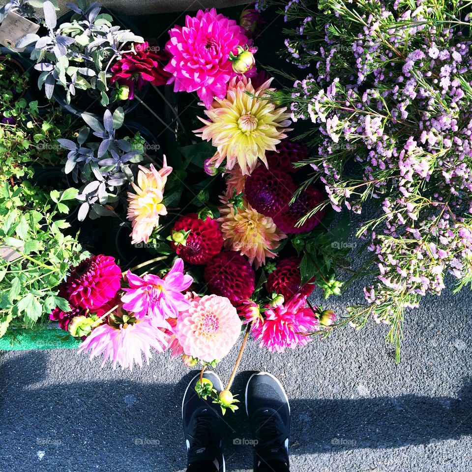 Flowers at Borough Market