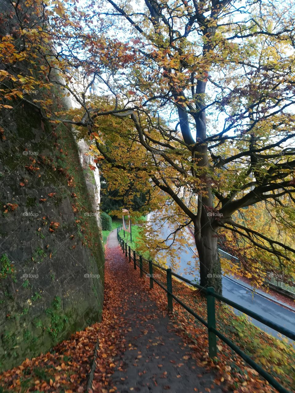 Autumn in Luxembourg