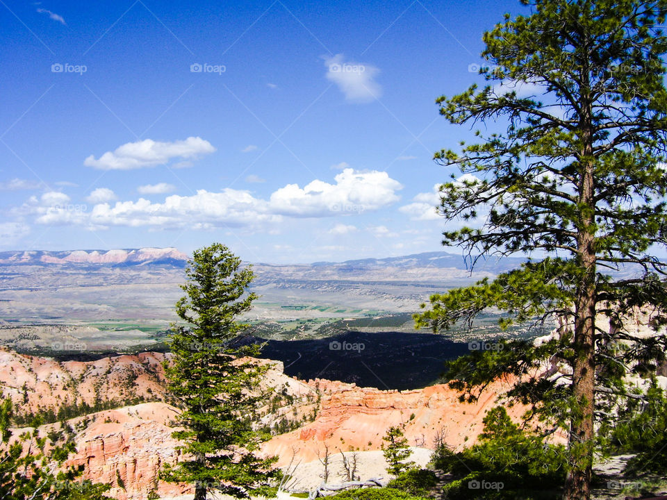 Grand canyon national park, Arizona