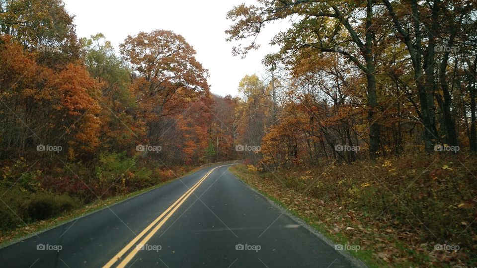 Road Trip in Fall