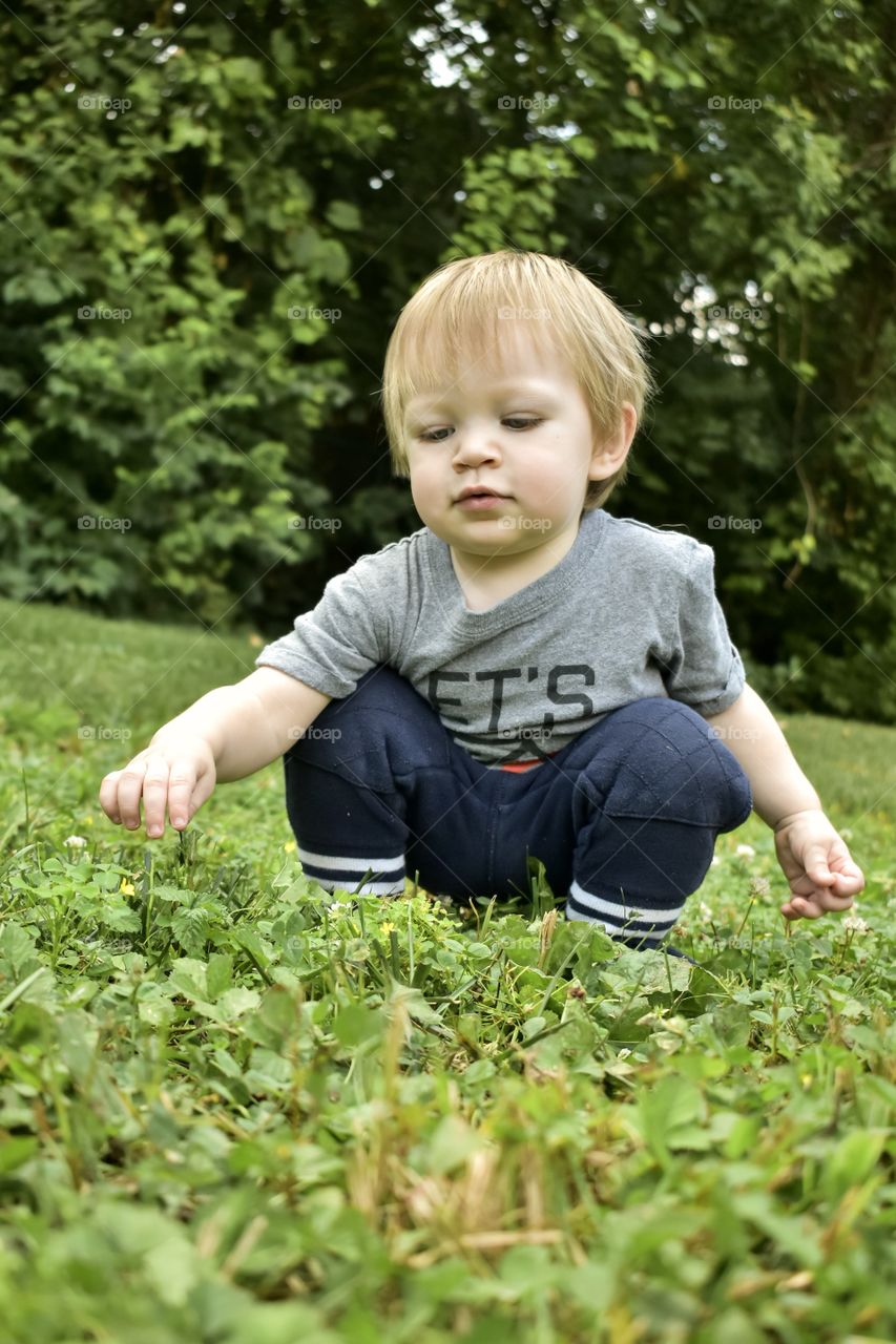 Cute 18 month toddler boy exploring nature and playing in grass 