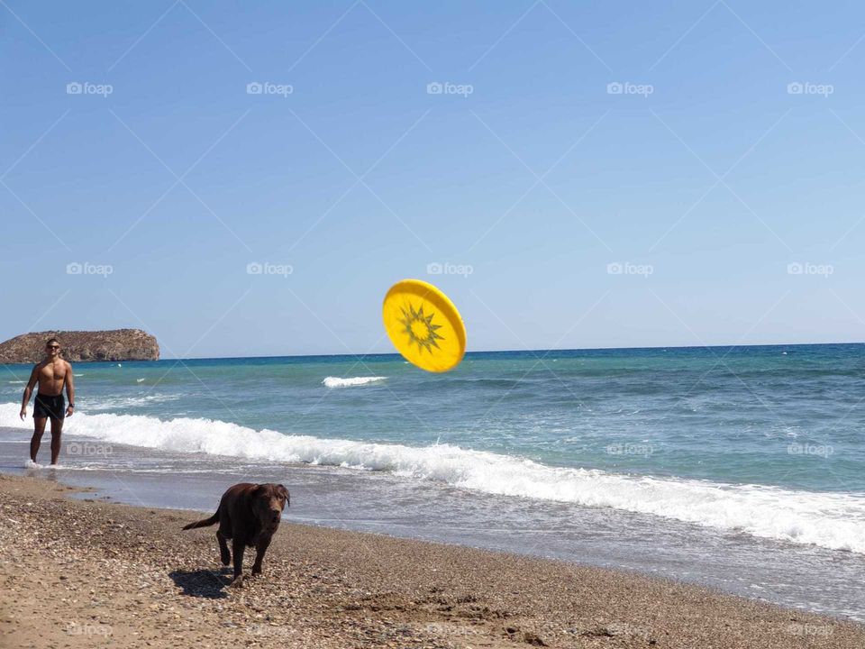 Beach#sea#labrador#dog#animal#human#play#frisbee#run