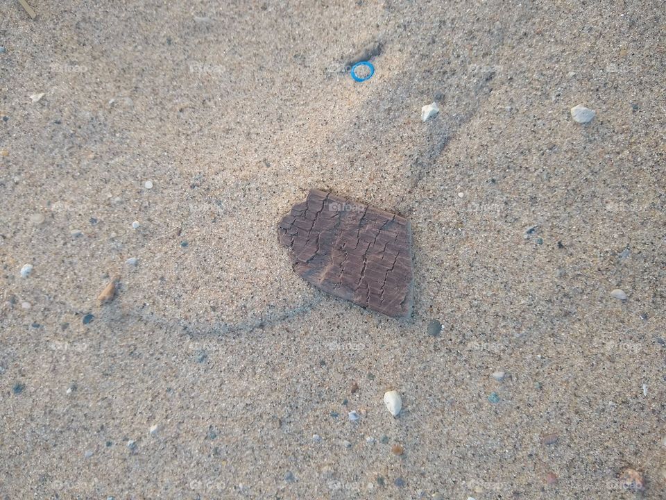 Unfiltered beautiful close-up of wood on the beach