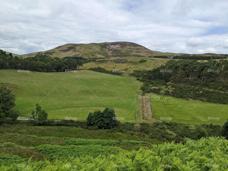 summer vibes hiking adventures; vibrant green landscape with a hill in the background under a cloudy but bright sky