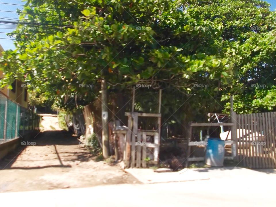 Photo from moving car traveling in Roatan, Honduras