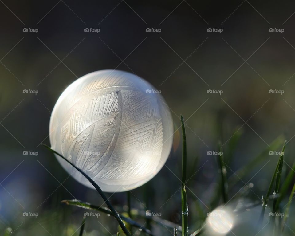 Close up of frozen soap bubble