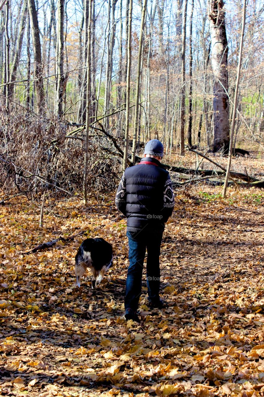 Autumn wandering.