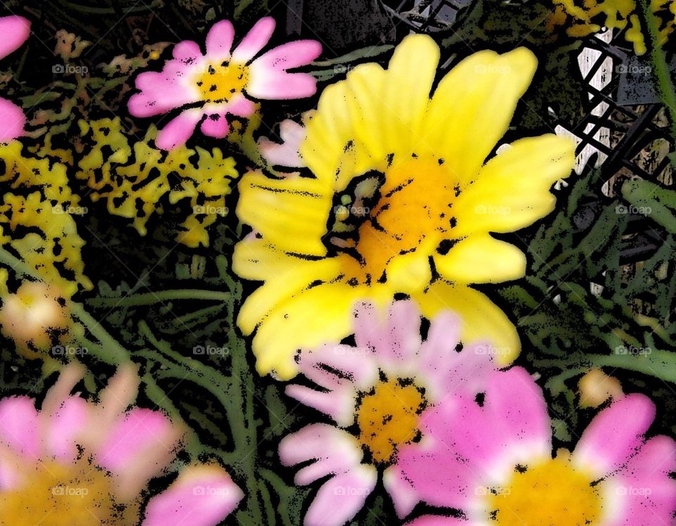 Abstract of pretty yellow & pink flowers 