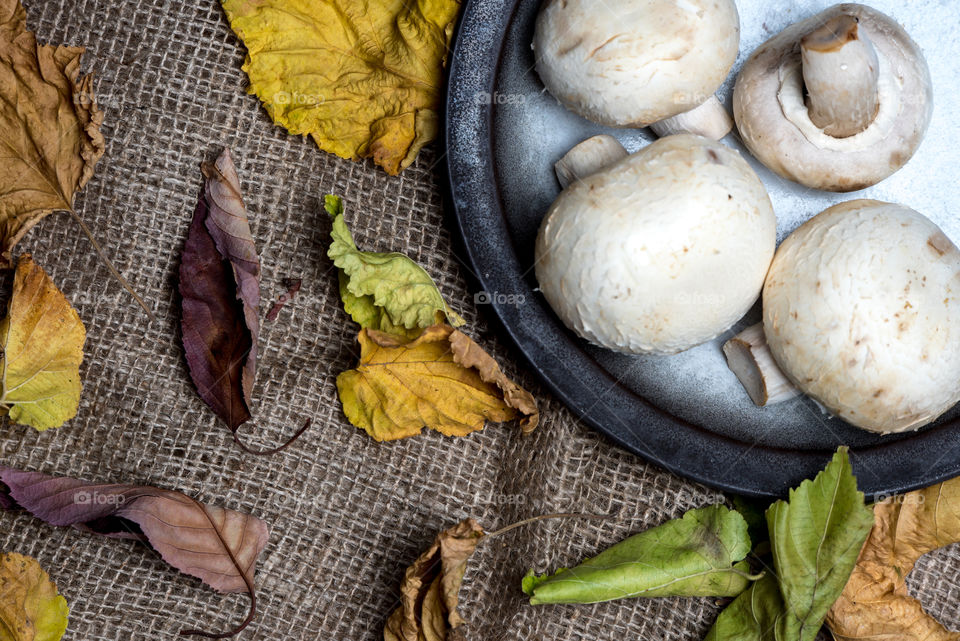 autumn, fall background. mushrooms and leaves on rustic, fabric, natural background