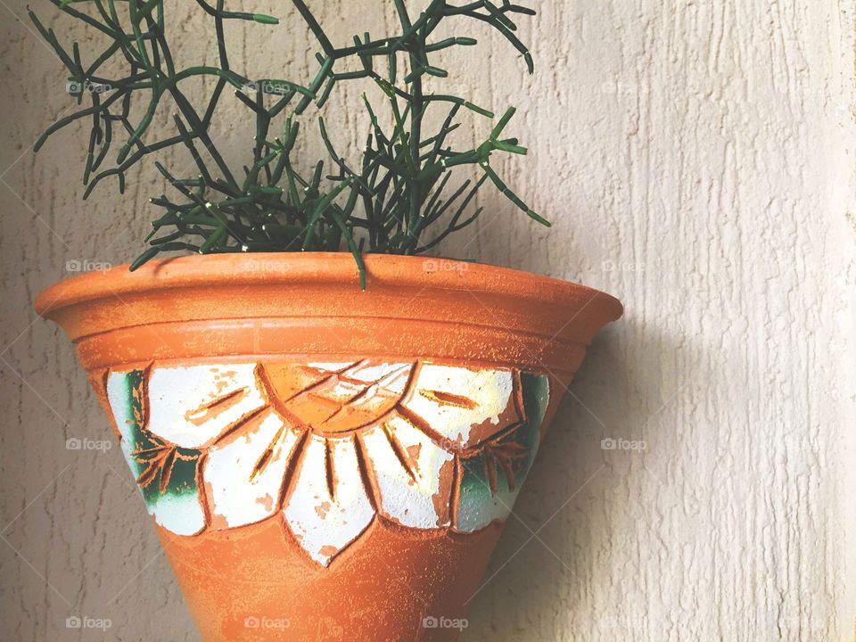 Plant pot on the wall