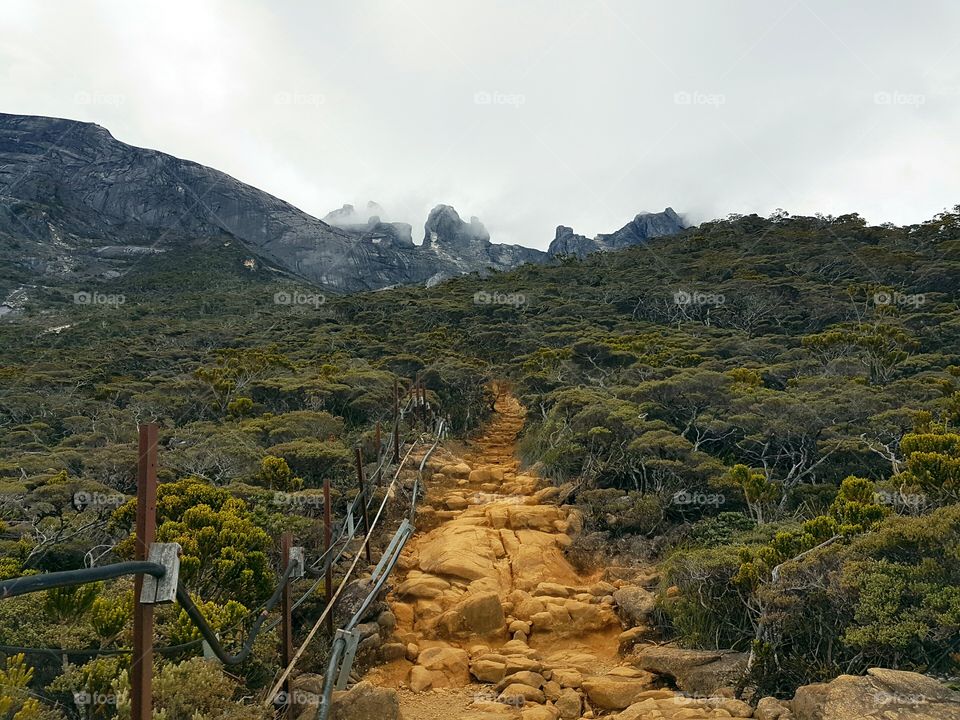 Hiking trail up Mt Kinabalu