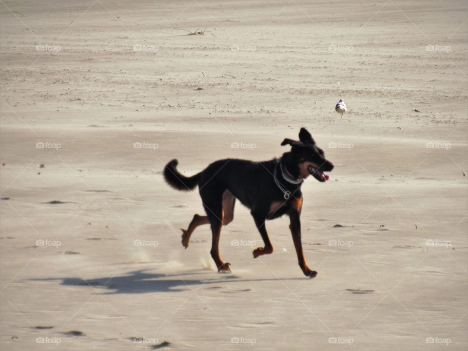 At the seaside