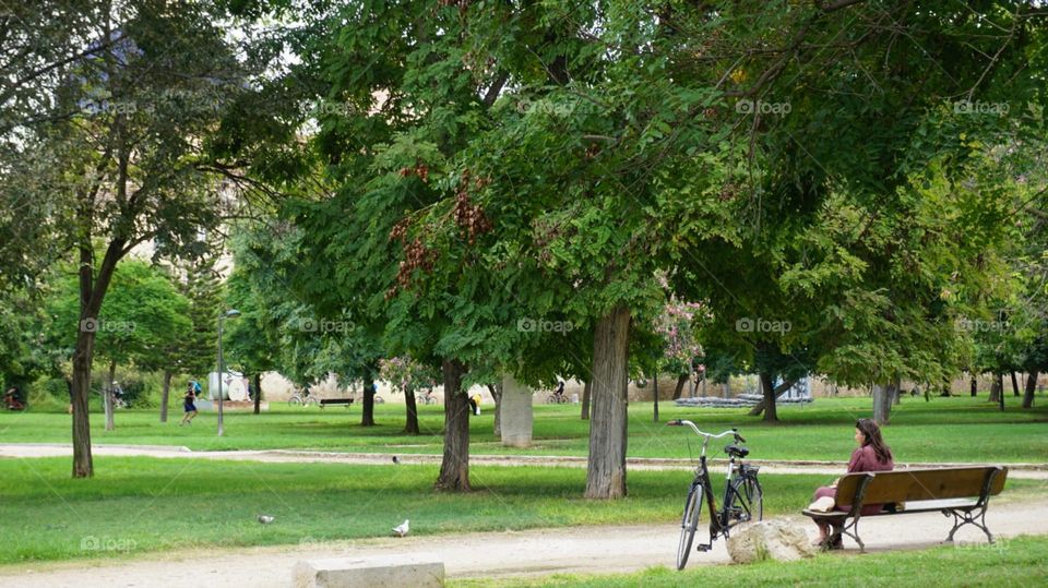 Park#nature#greengrass#bycicle#trees