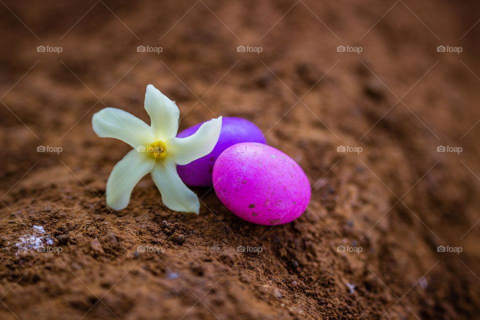 purple and pink candy hidden in the garden for easter