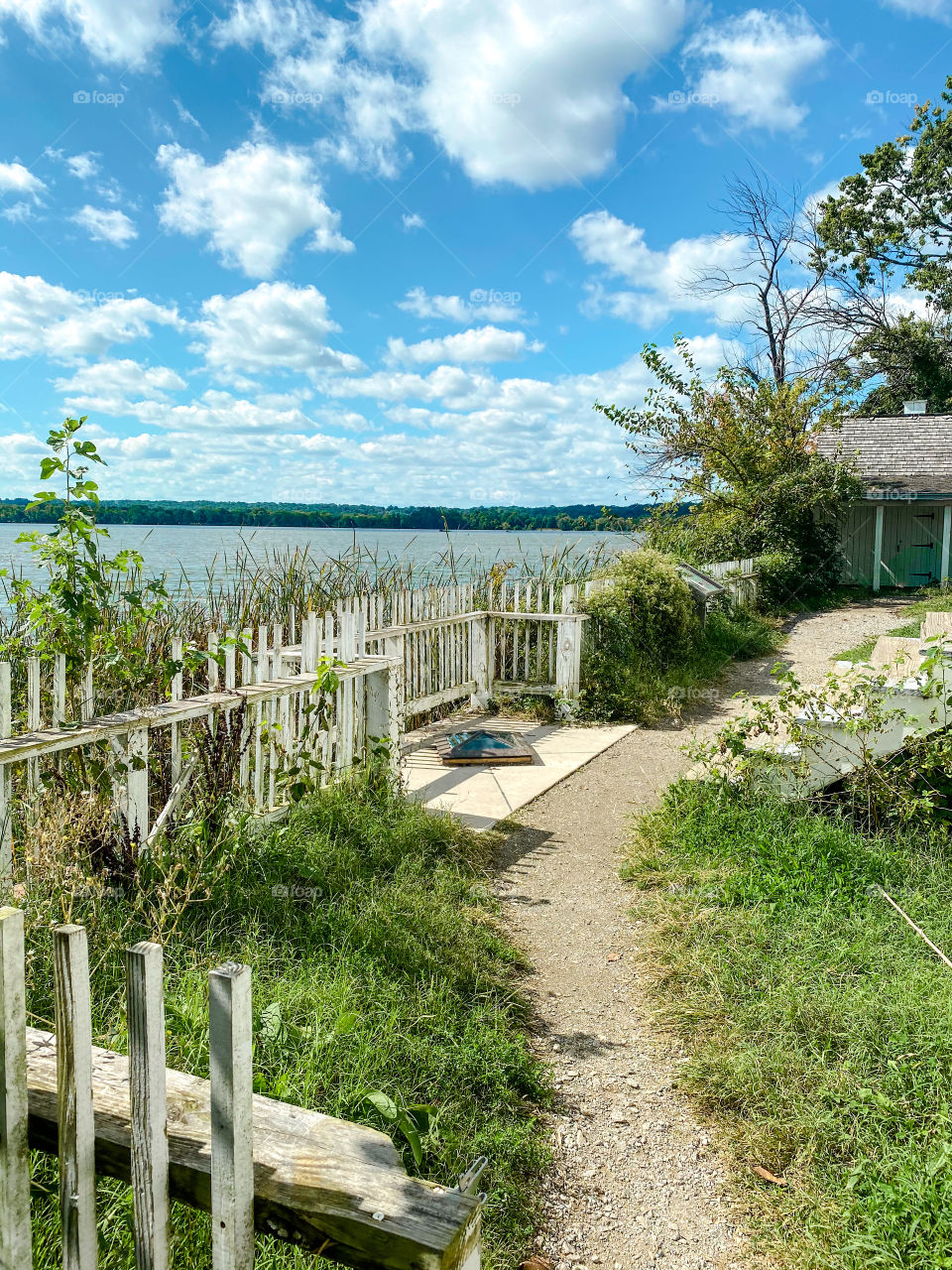 Overgrown lighthouse grounds