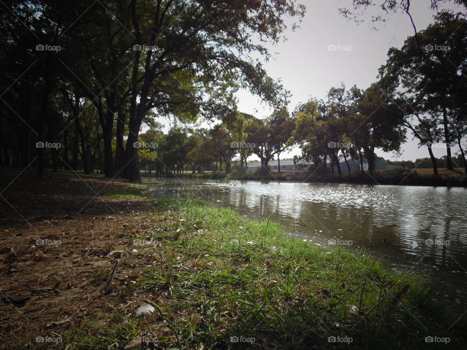 fireman Park. I went to the park to try out my new camera. 👣 🚶 🏃 🔥 💨
