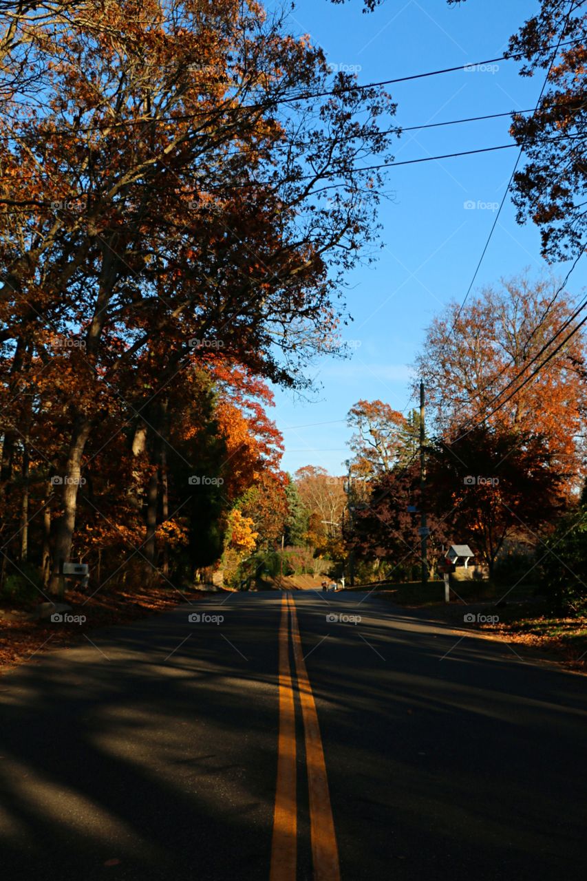 Another quiet fall road.