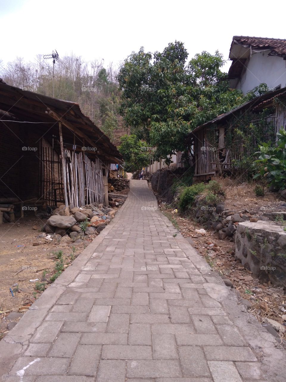 Street at Village