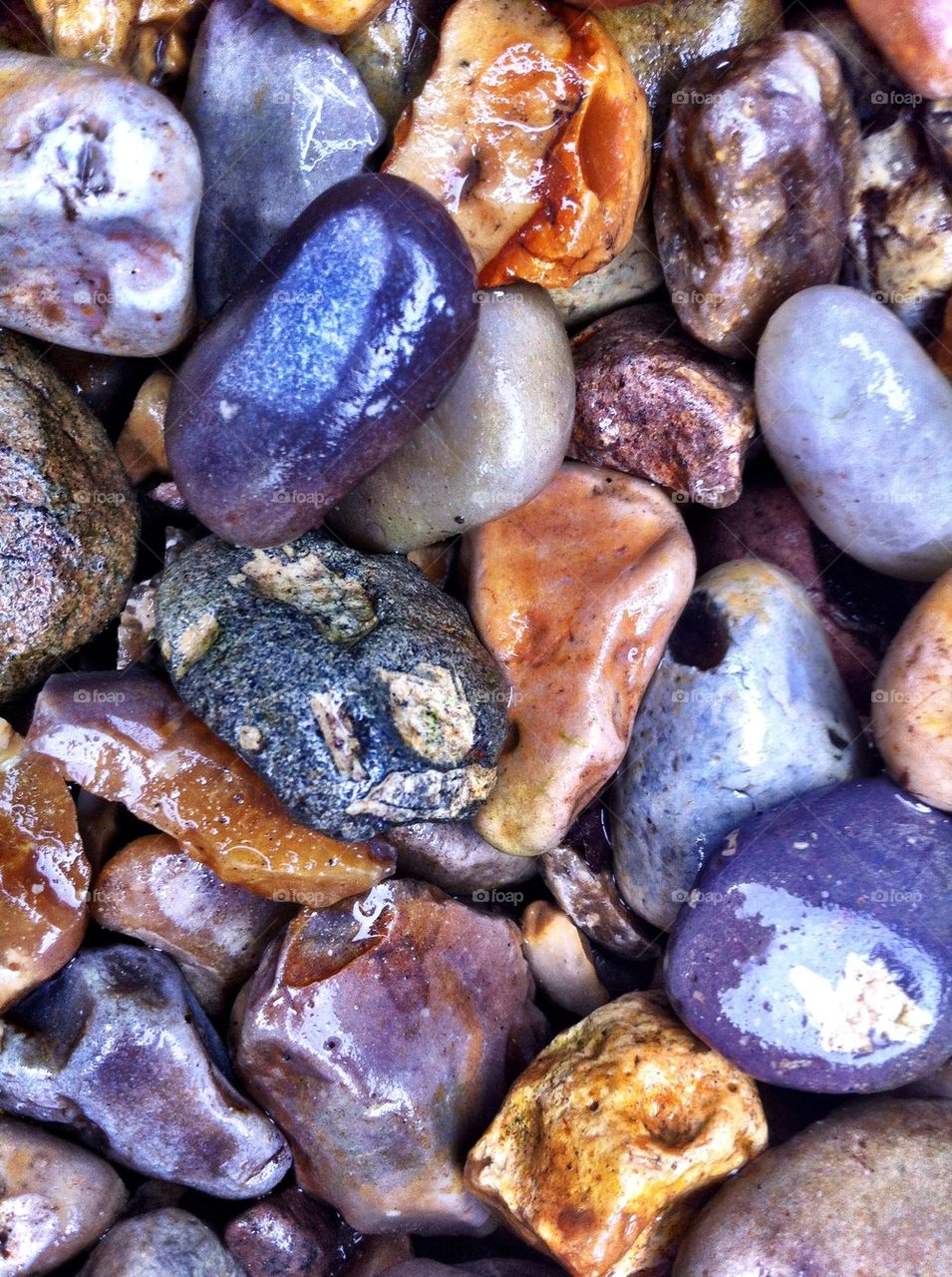 Wet stones at the beach.