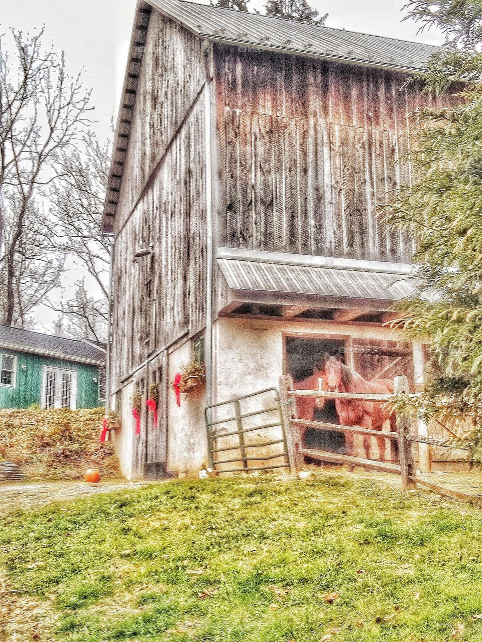 barn scene in rural landscape