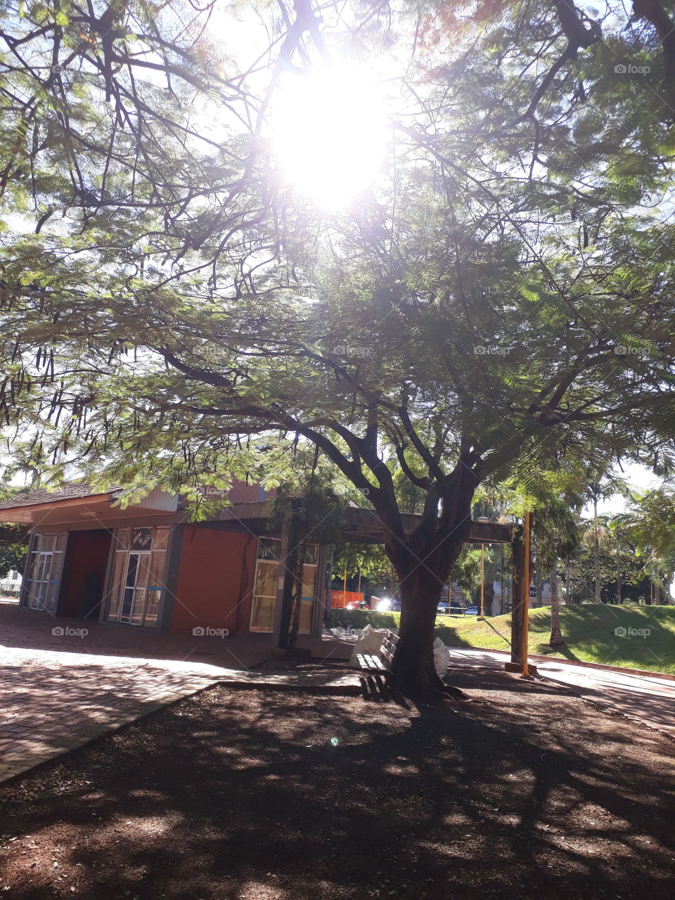 Praça Brasília, Cafelândia Paraná Brasil