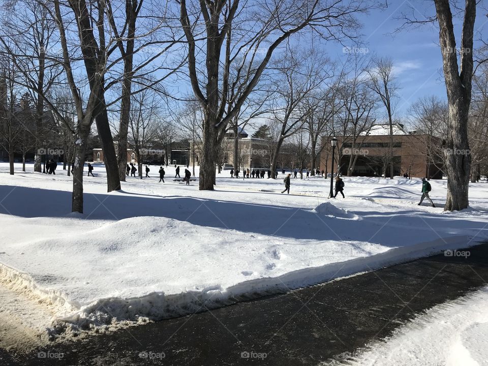 Campus view in winter after a heavy snow fall. 