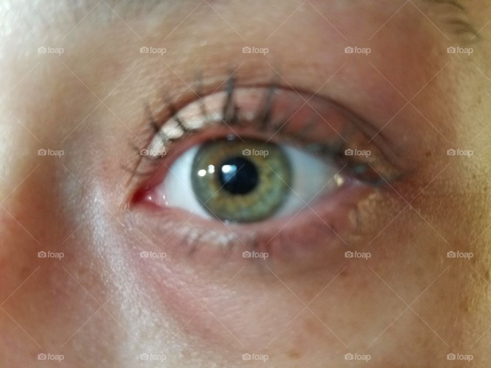 Window to the Soul 2