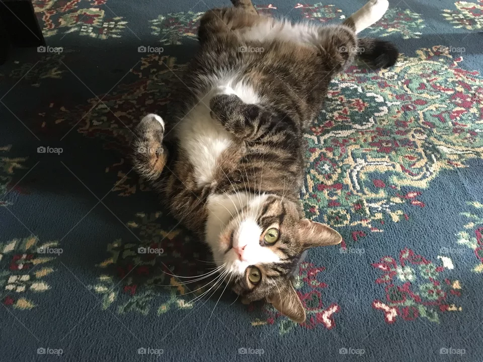 Stretch In The Sun