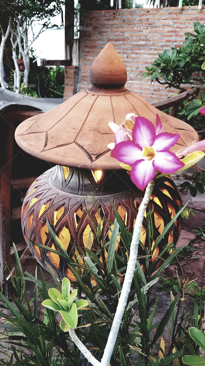 flower,light,Calamba,pottery