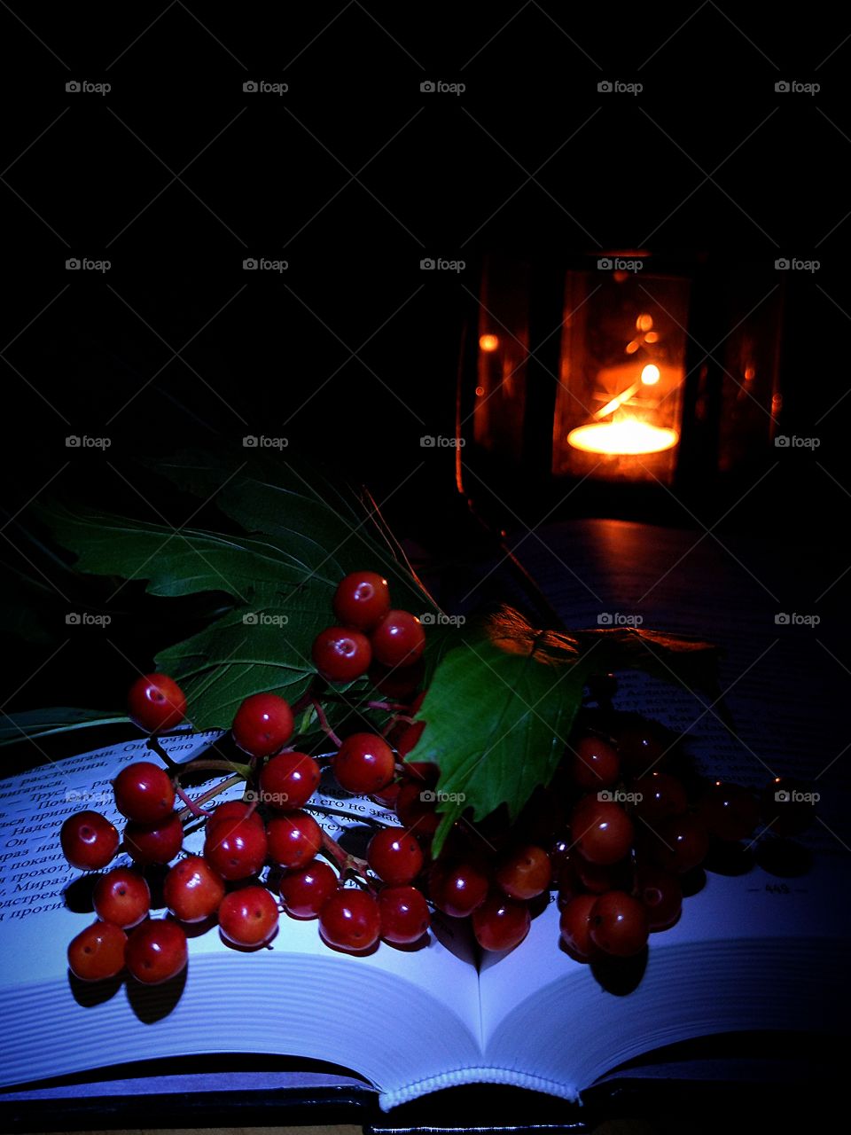night.  lantern with a candle.  open book on which lies a branch of viburnum
