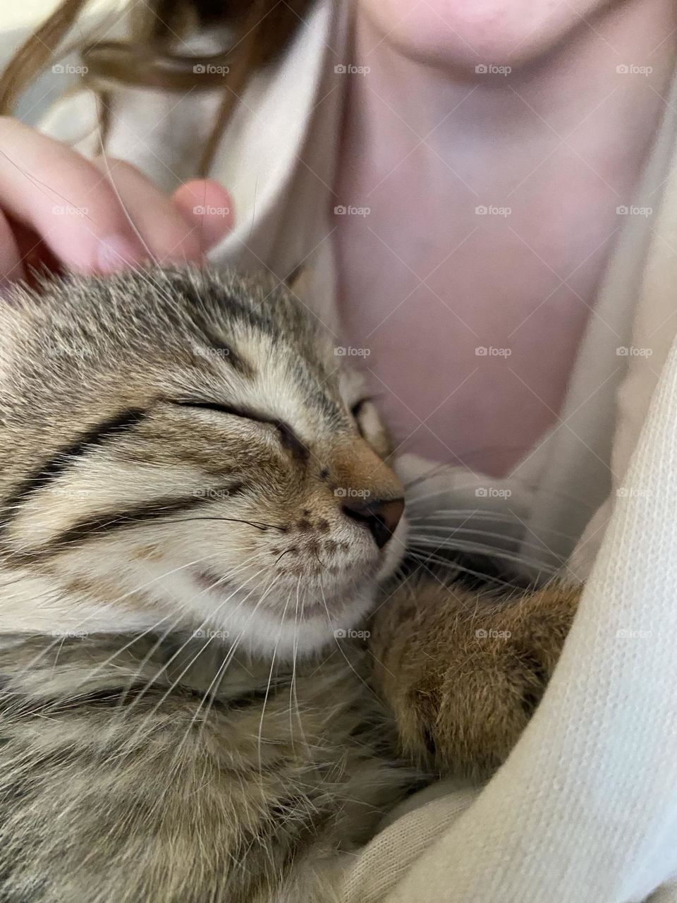 Kitten falling asleep while getting cuddles.