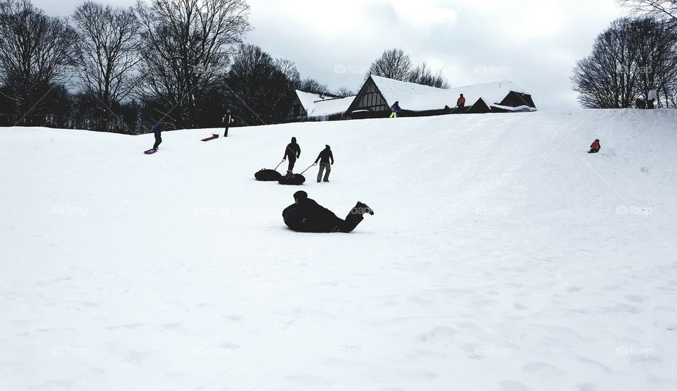 mountain sledding