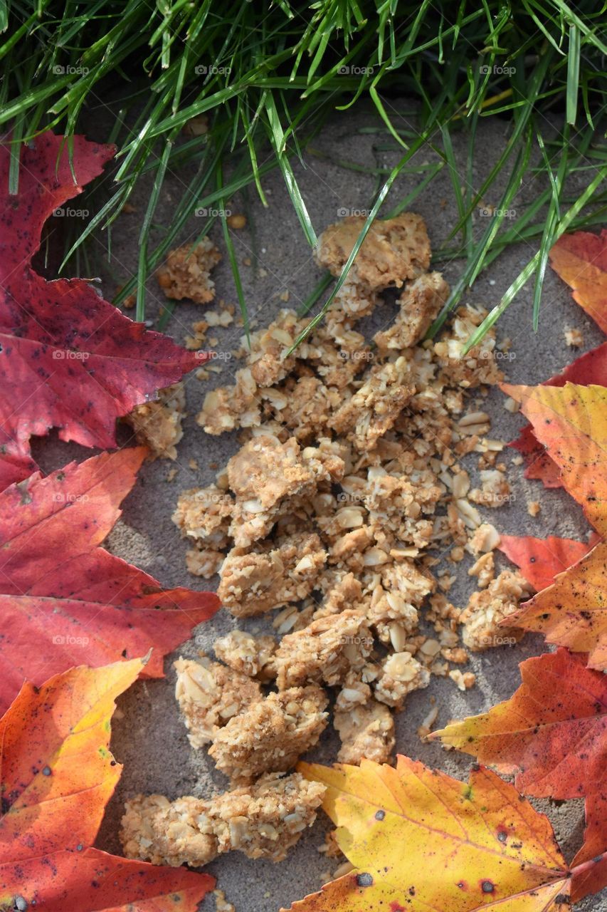 Healthy snack, natural granola