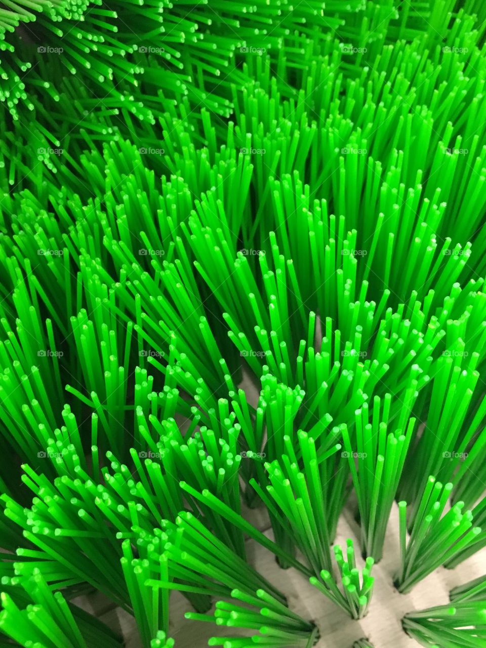 Green brush