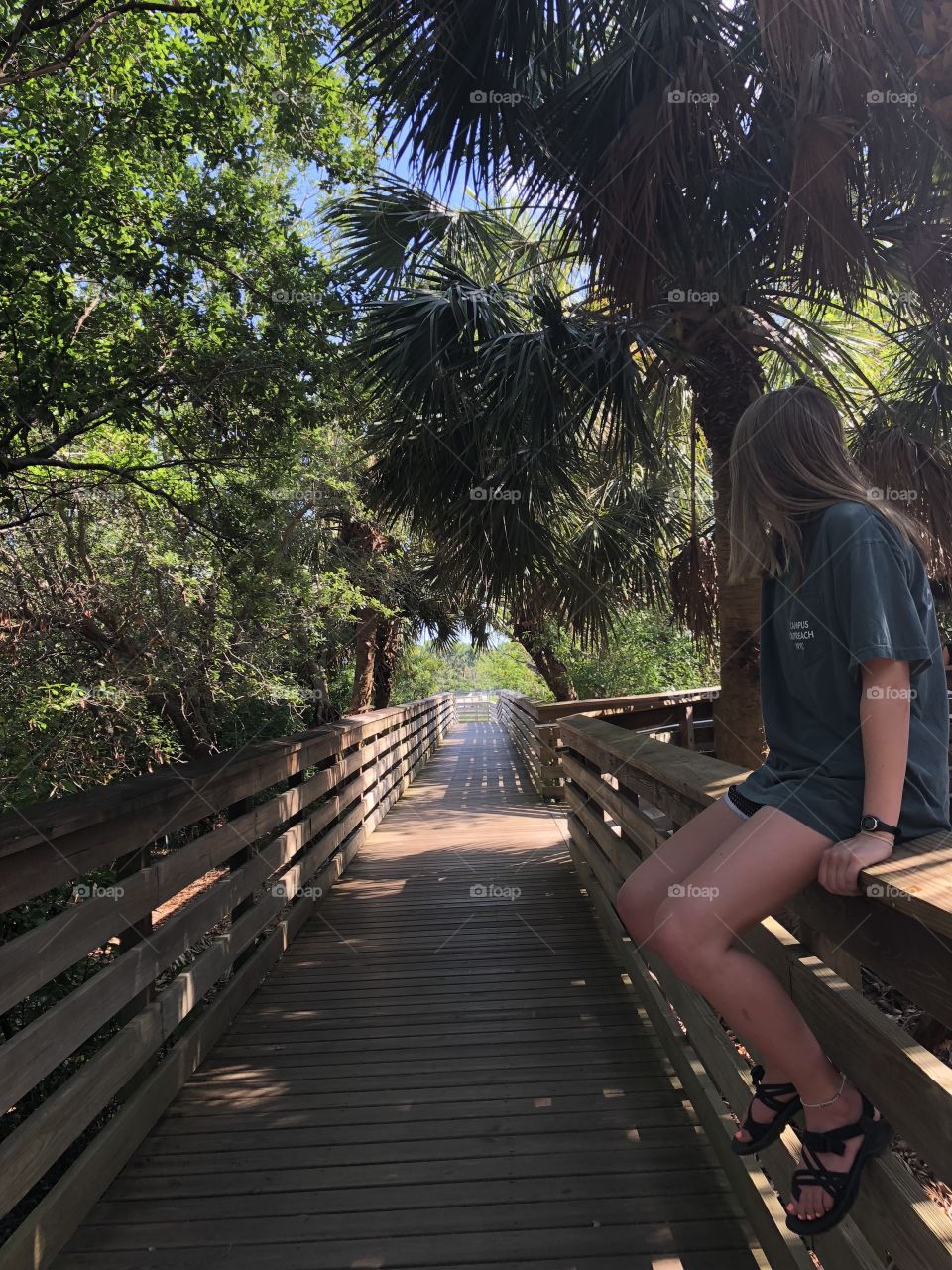 Strolling through the Everglades 