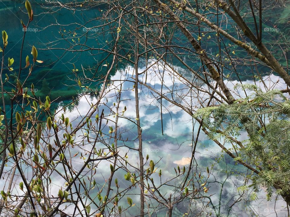 Scenic in water 