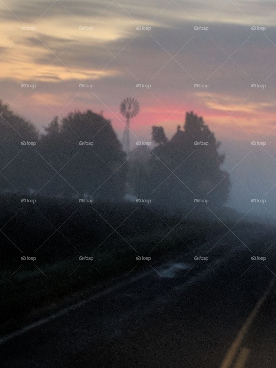 foggy country sunrise