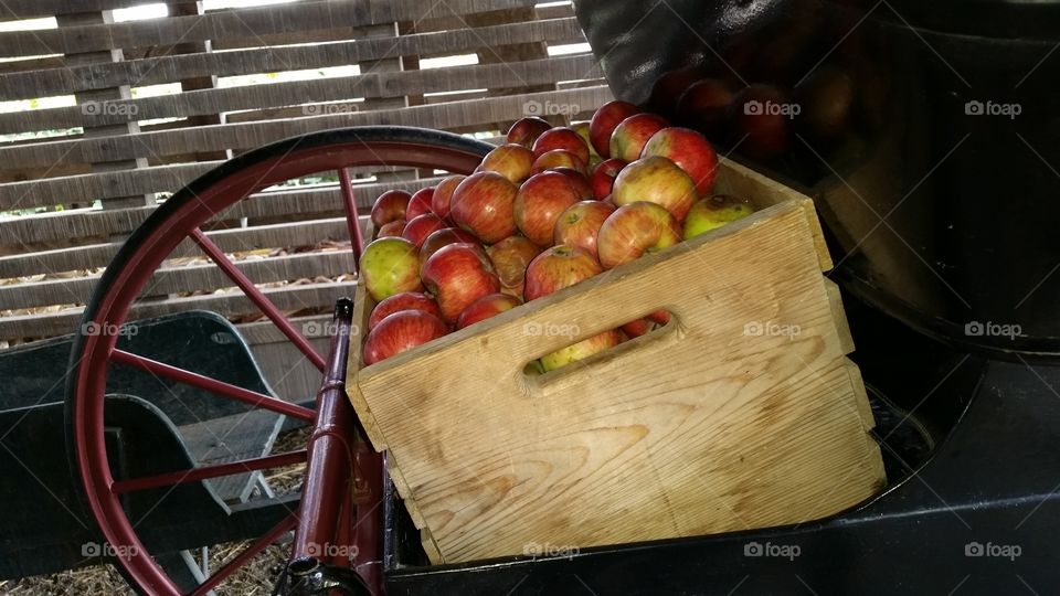 Apples in a cart