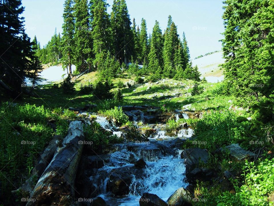 Wheeler peak 2